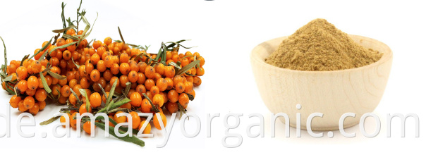 Sea buckthorn Juice Powder